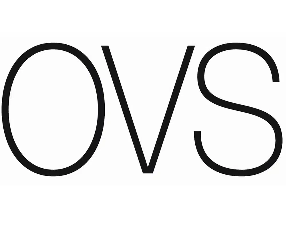 OVS Logo