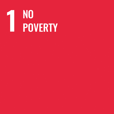 SDG 1
