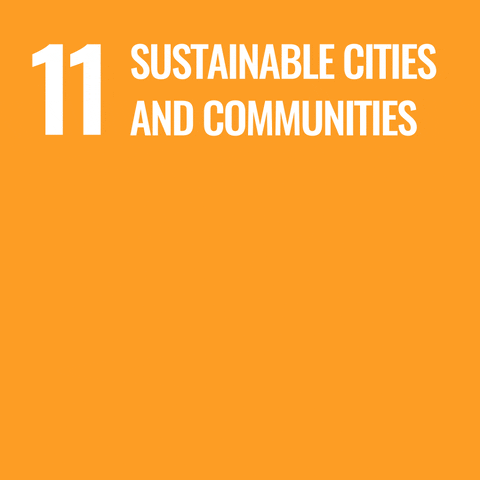 SDG 11