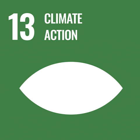 SDG 13