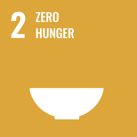 SDG 2