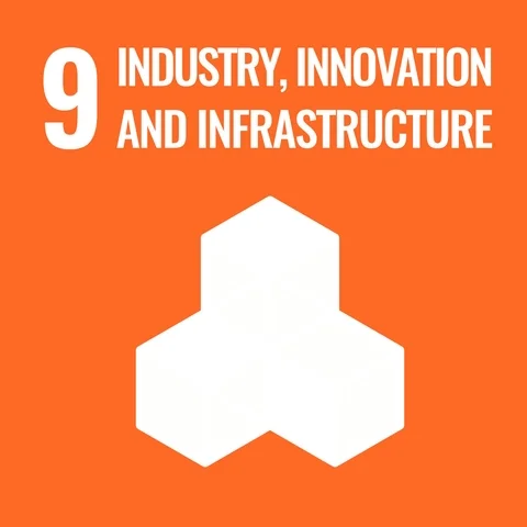 SDG 9